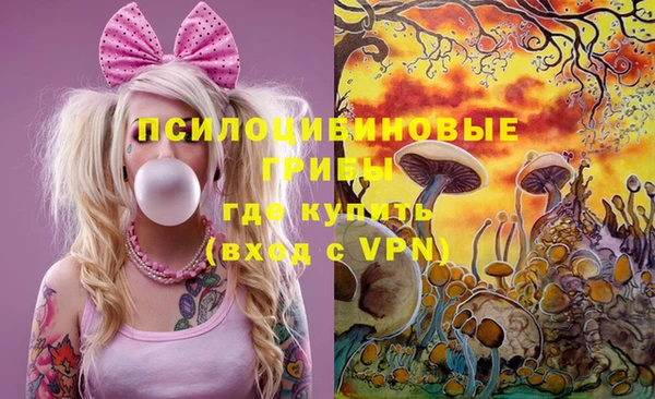 стаф Беломорск