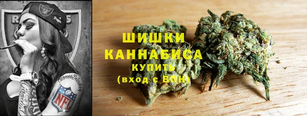 стаф Беломорск