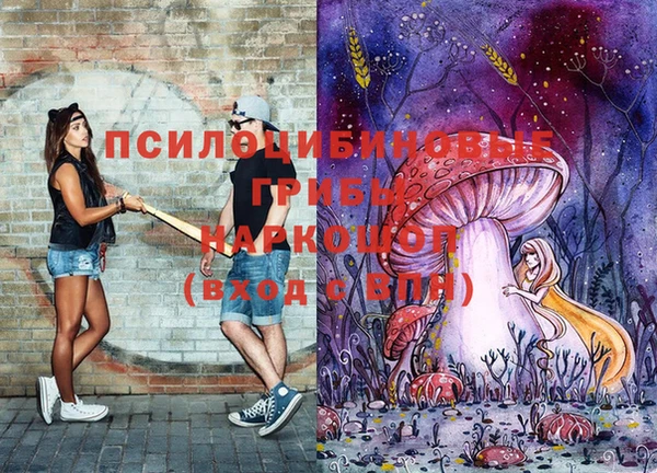 стаф Беломорск