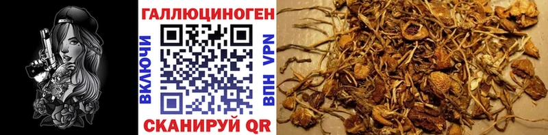 Купить закладки  Лукоянов  Галлюциногенные грибы Psilocybine cubensis 